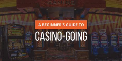 Casino 101: Beginner's Guide to Three Pictures .